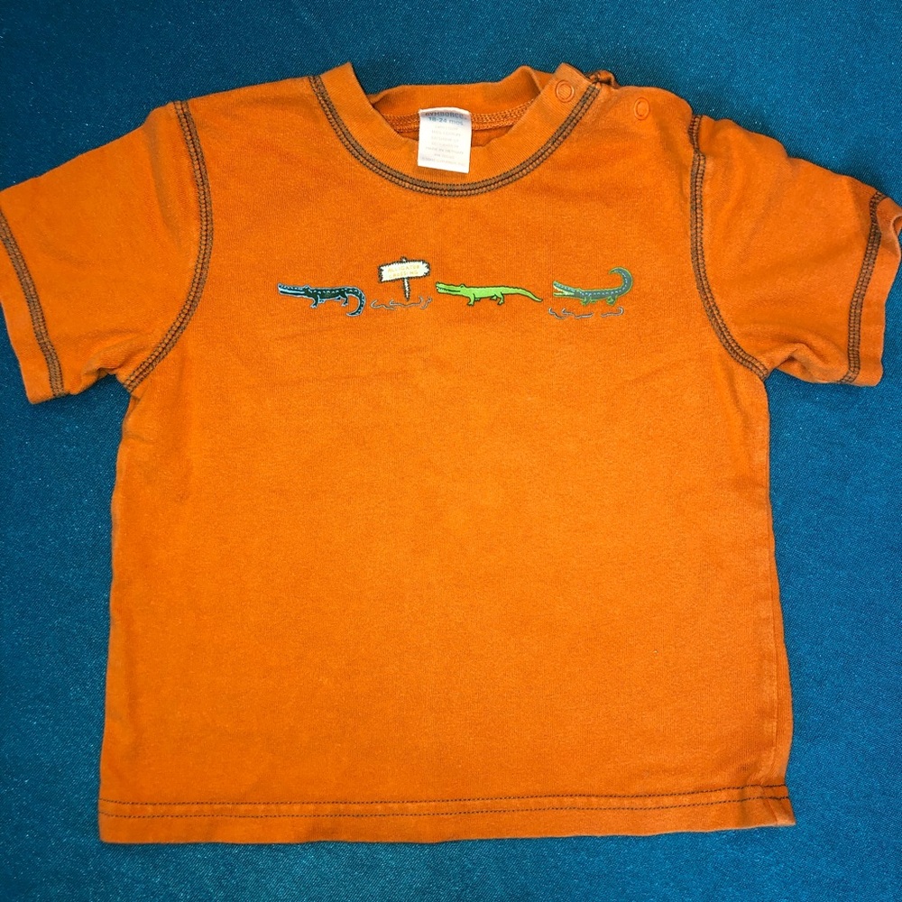 Gymboree Alligator Crossing T-shirt